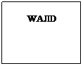 Text Box: WAJID
 
