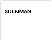Text Box: SULEIMAN
 
